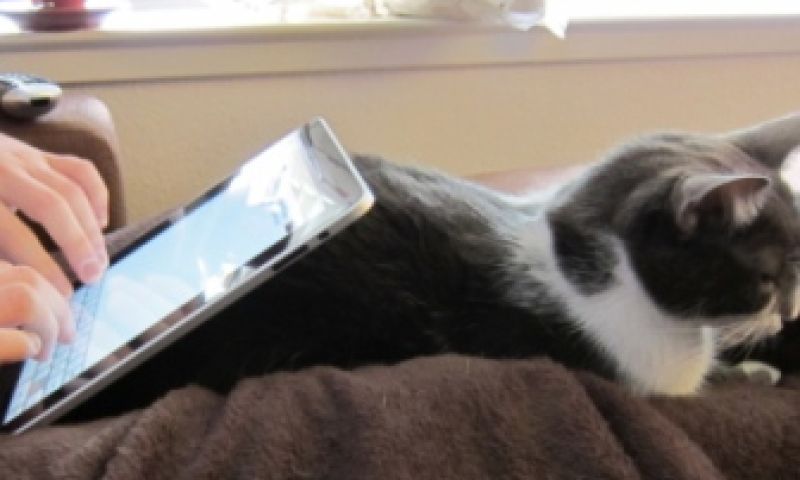 De iPad is een avondapparaat