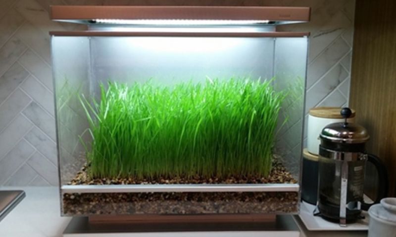 Na de thuisbioscoop nu ook je eigen biotoop in huis