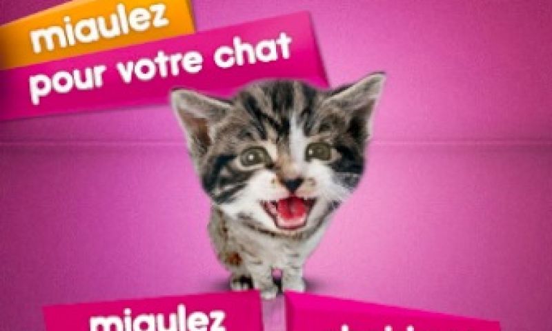 Miauw om je kat op Facebook te krijgen