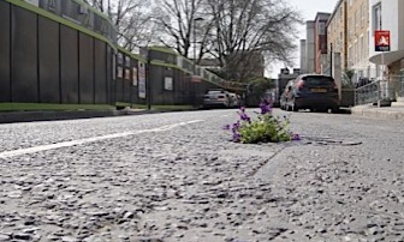 Tuinieren in het asfalt