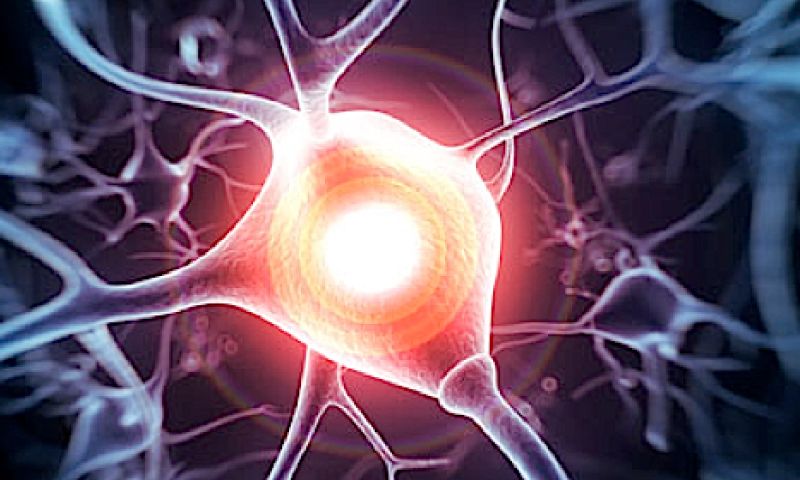 Op afstand bestuurbaar brein-implantaat geeft medicijnen af