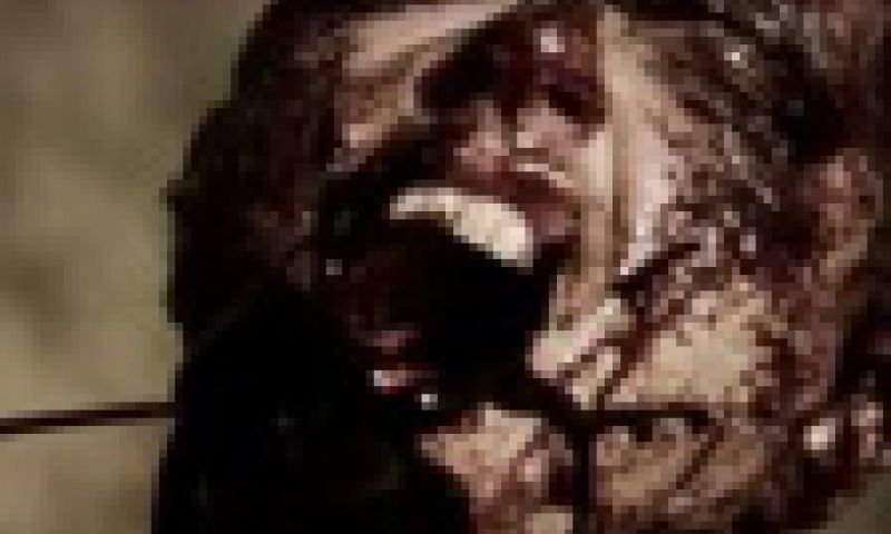 Tonies Tunes: Best Of YouTube 2010