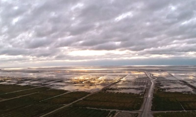 Video: Noord-Nederland vanuit een drone