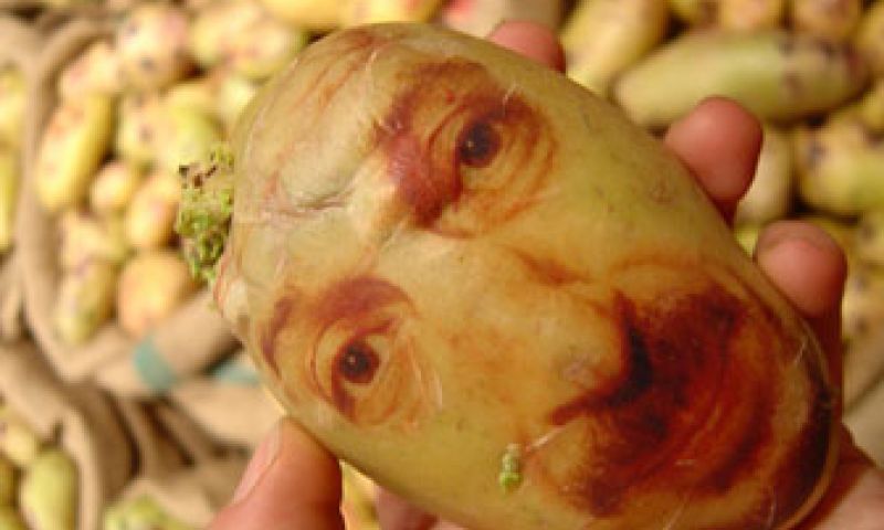 Potato portraits