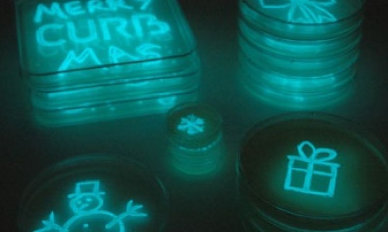 Kerstkaart met bacterien