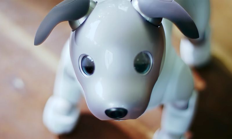 Sony robothond Aibo verkoopt goed