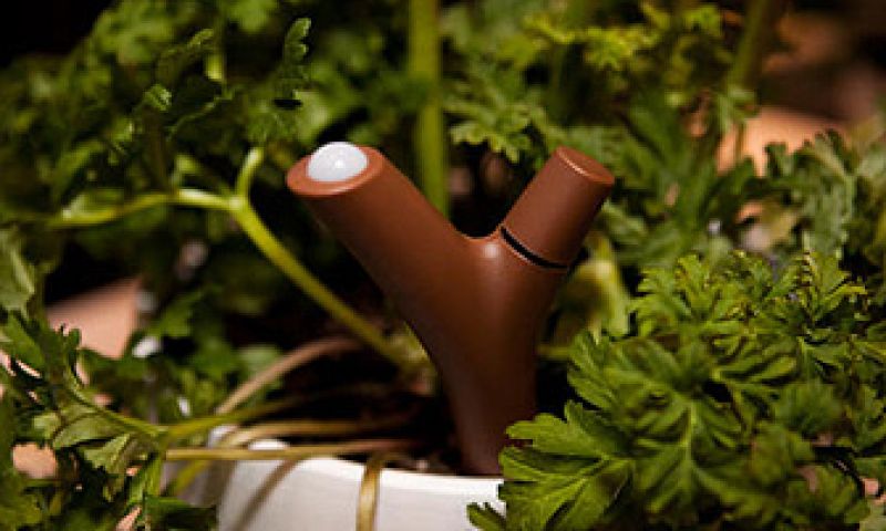 Bluetooth-sensor checkt status van je plant