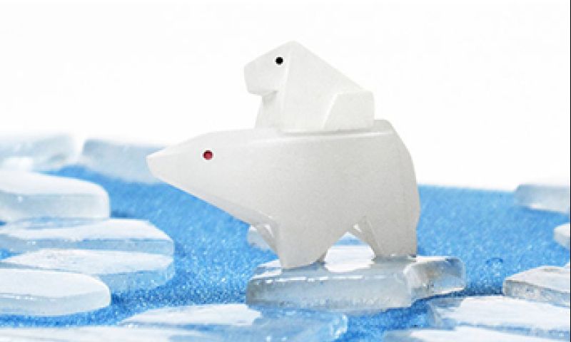 Cool spel: red de ijsberen met het smeltende bordspel Meltdown