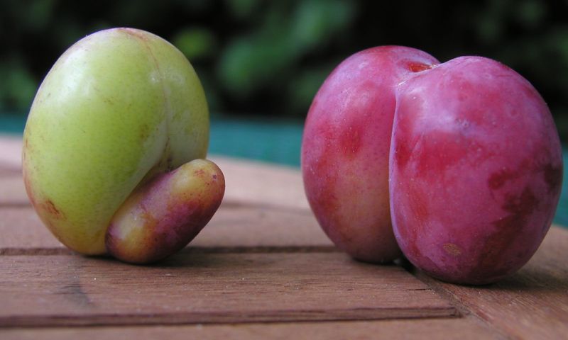 PornHub biedt audio-porno voor blinden en slechtzienden