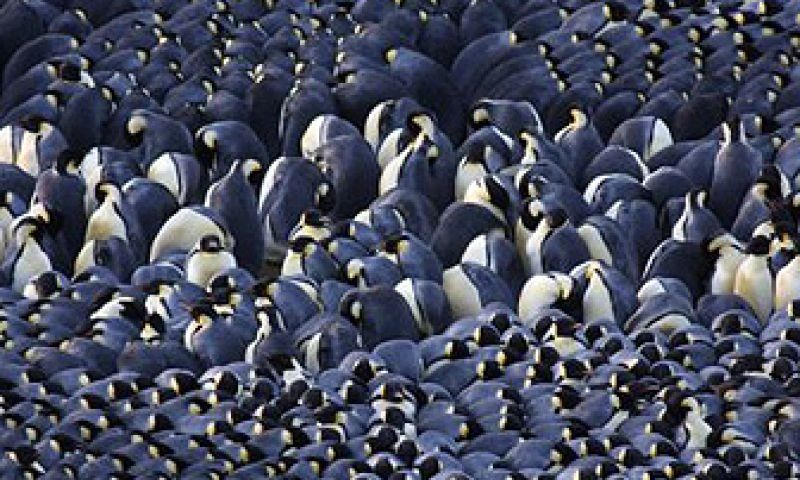 Commentaar: Stand van de netwerken