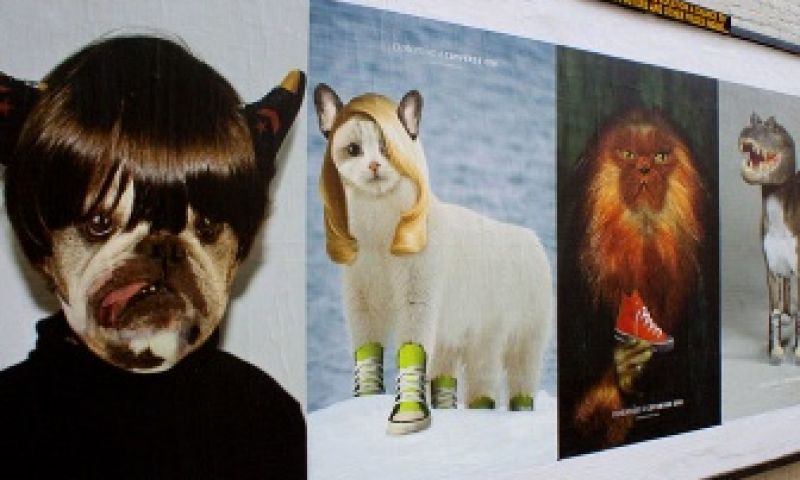 Ook varkenshonden en gorillakatten dragen sneakers