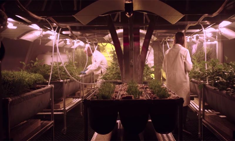 Video van de dag: groenten kweken op Mars