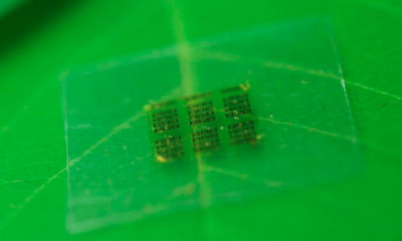 Chips van hout: biologisch afbreekbare gadgets op komst?