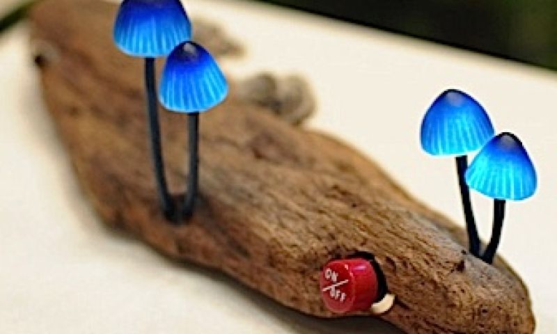 Weer eens wat anders, paddestoelen als bureaulamp