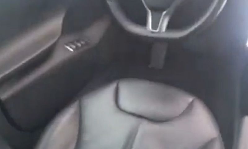 Nederlandse Tesla-'rijder' misdraagt zich op de snelweg