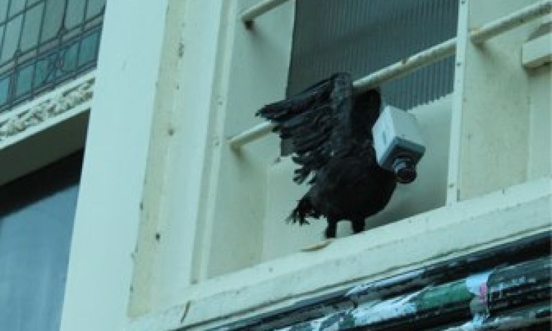 Vreemde vogels in Utrecht