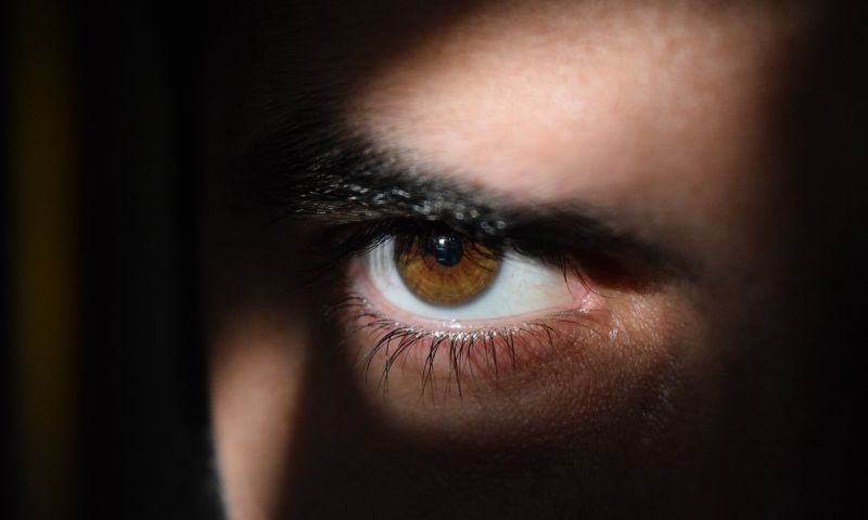 'Hackers bespioneerden EU-ambassades maandenlang'