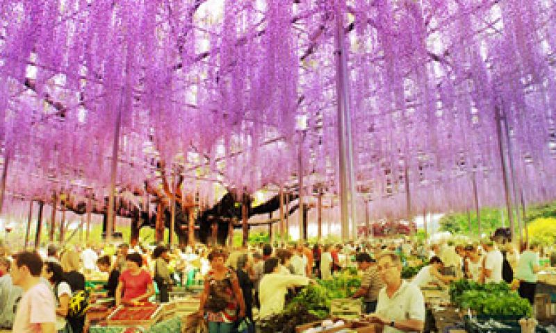 Almere krijgt groen stadseiland voor Floriade 2022