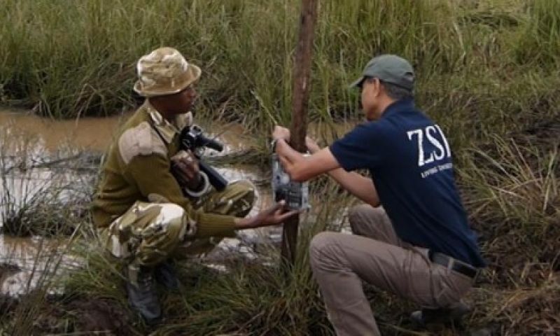 Raspberry Pi's gaan de strijd aan met neushoorn stropers