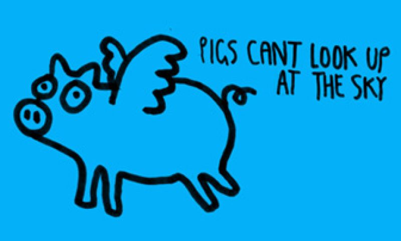 Wist je dat slakken wel 3 jaar kunnen slapen?