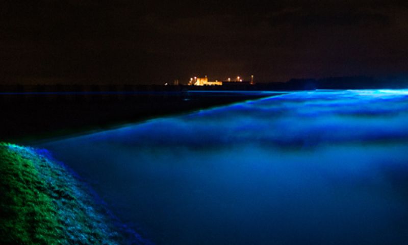 Nieuw van Roosegaarde: virtuele overstroming bij de IJssel