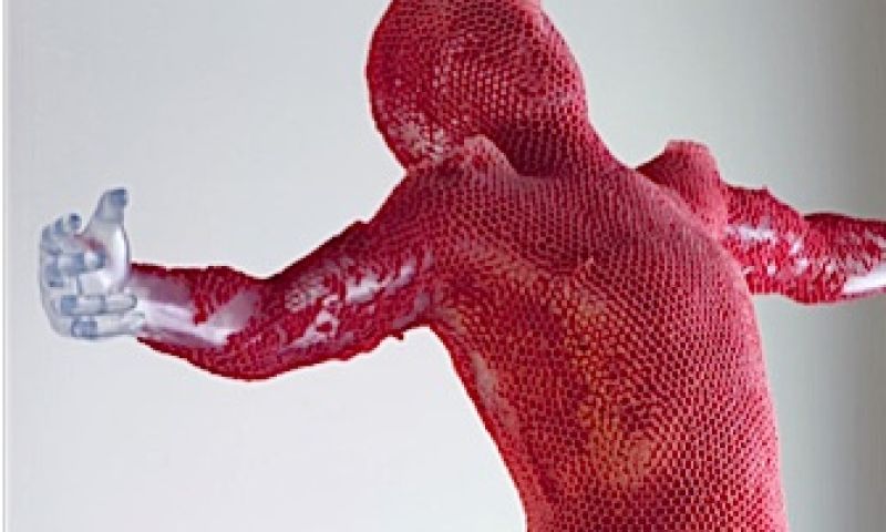 In de huid van een bij