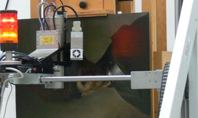 Nieuwe scanner onthult details onderliggend schilderij Rembrandt