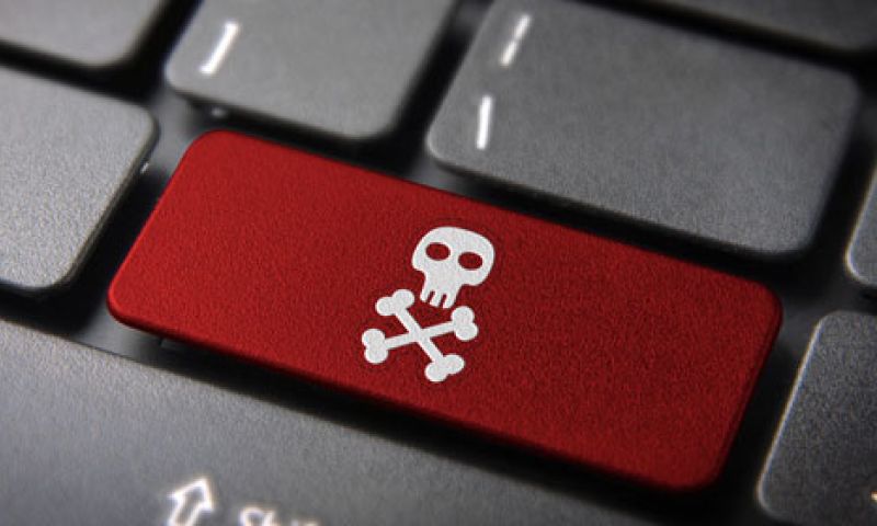 Nederlandse filmsector wil dat overheid schade piraterij vergoedt