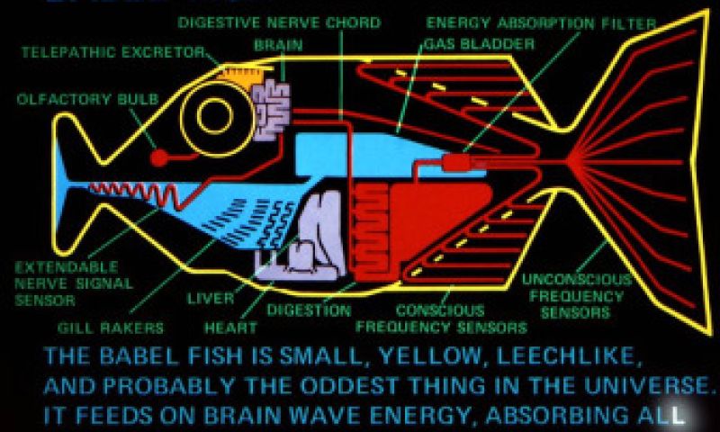 Nooit meer een taalprobleem