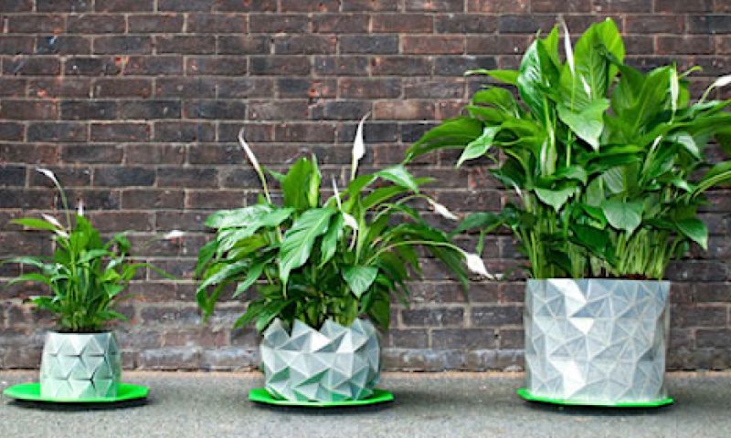 Origami-pot groeit mee met je plant