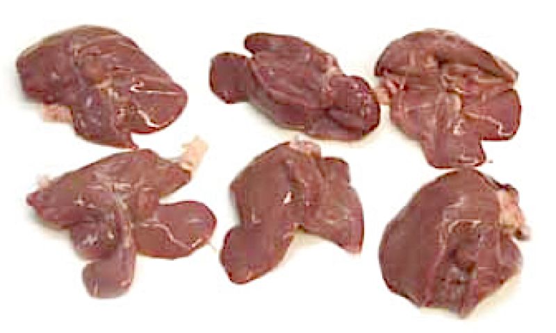 Wetenschappers groeien menselijke levers