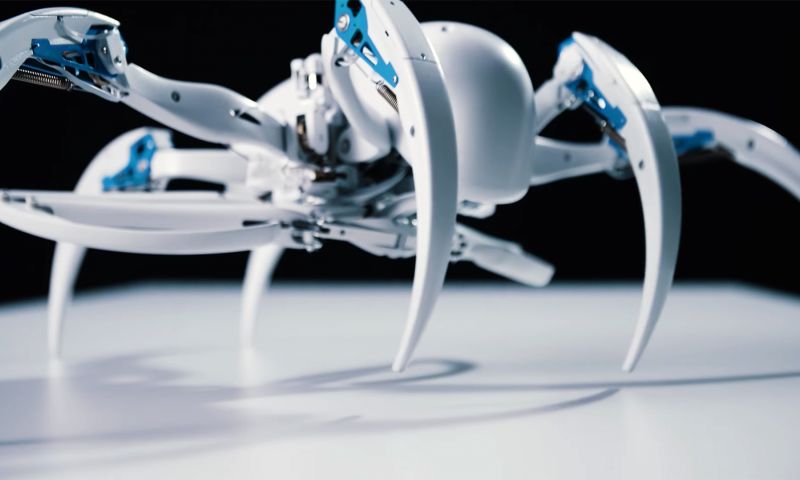 Video: rollende robotspin en drone-vleermuis