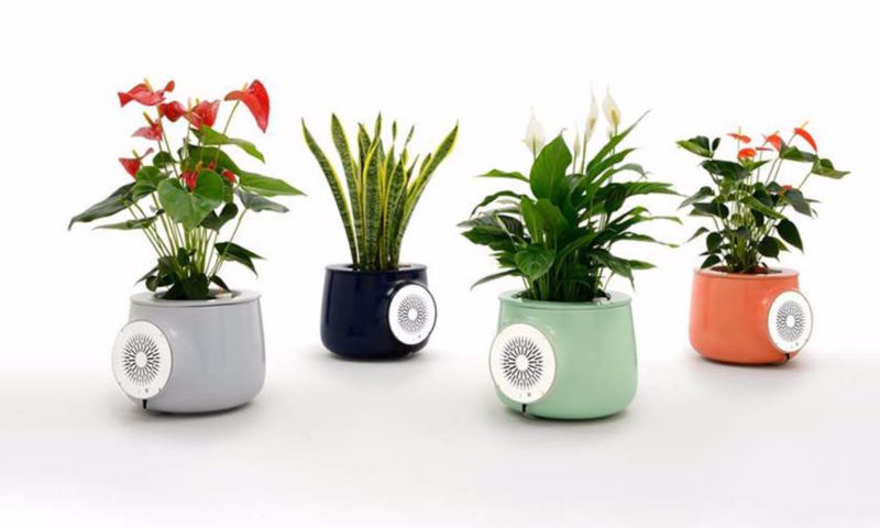 Deze slimme plantenbak zuivert de lucht in huis