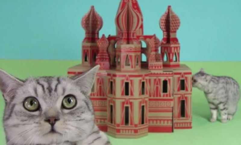 Fans eisen kattenkastelen van Nederlandse Kickstarterhit