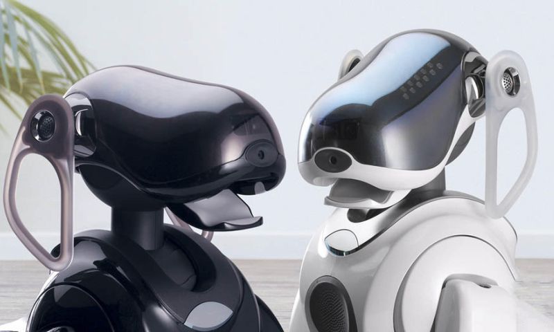 'Nieuwe robothond Sony in november gepresenteerd'