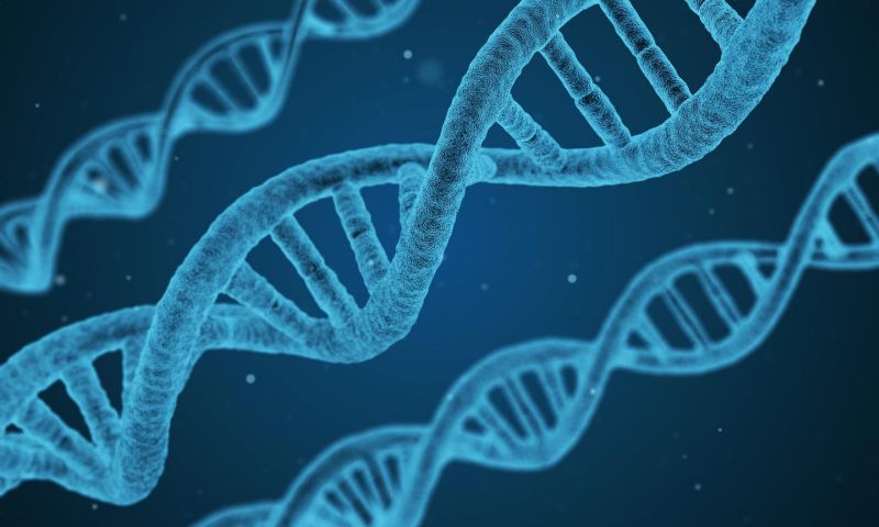 Wetenschappers bewijzen: supersnelle DNA-computer is mogelijk