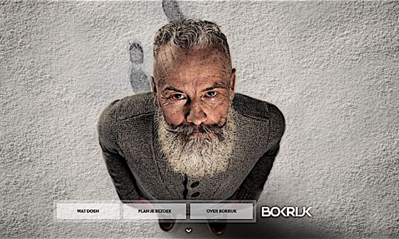 Dit zijn de beste designers van België