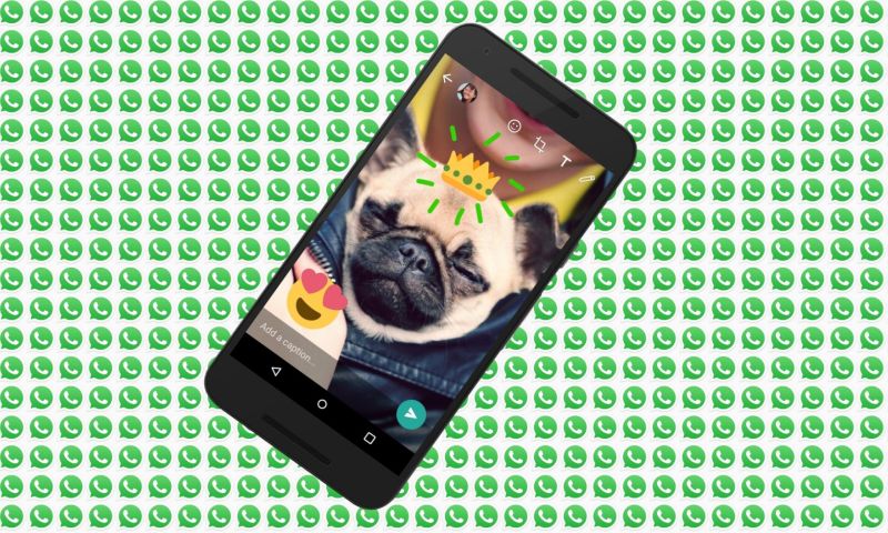 Nieuwe WhatsApp-bèta laat je 30 gifjes tegelijkertijd sturen