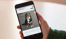 Thumbnail for article: Wéér een chatapp? Google brengt 'slimme' Allo uit