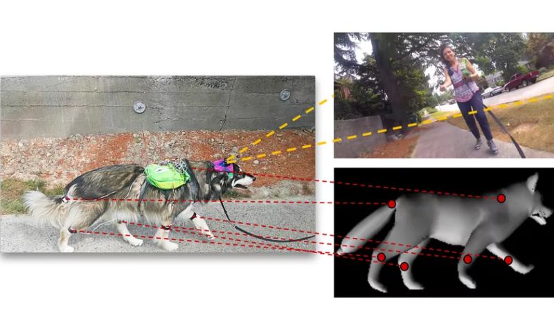 AI leert te denken zoals een hond