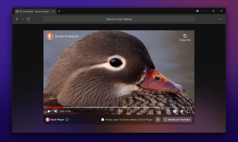 duckduckgo browser windows macos 