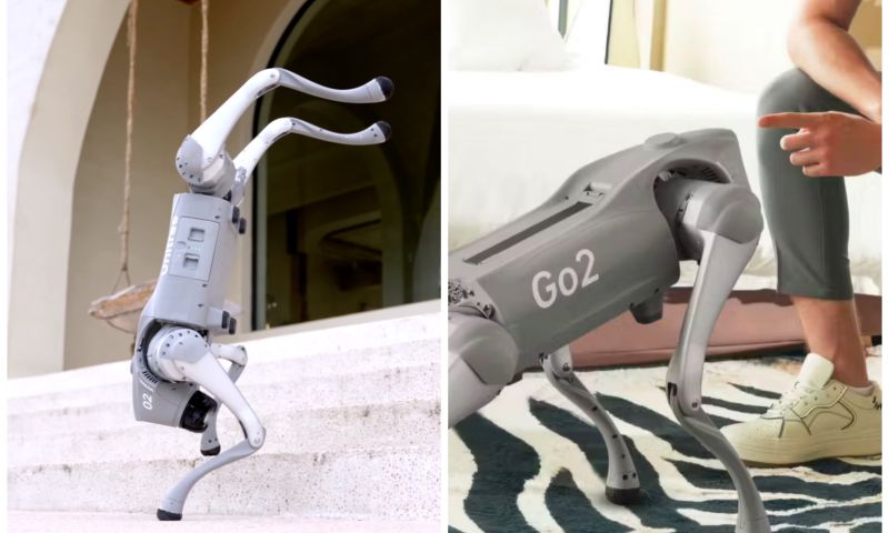 robot robothond unitree