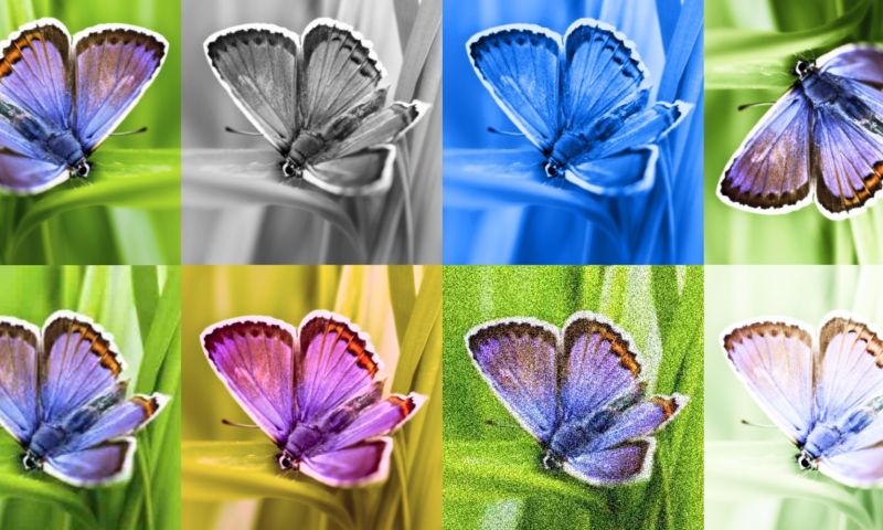©Google Deepmind
