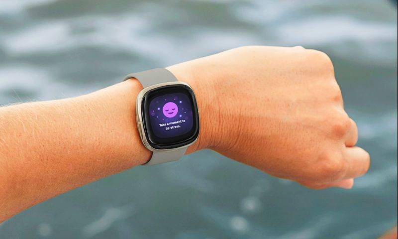 ©Fitbit