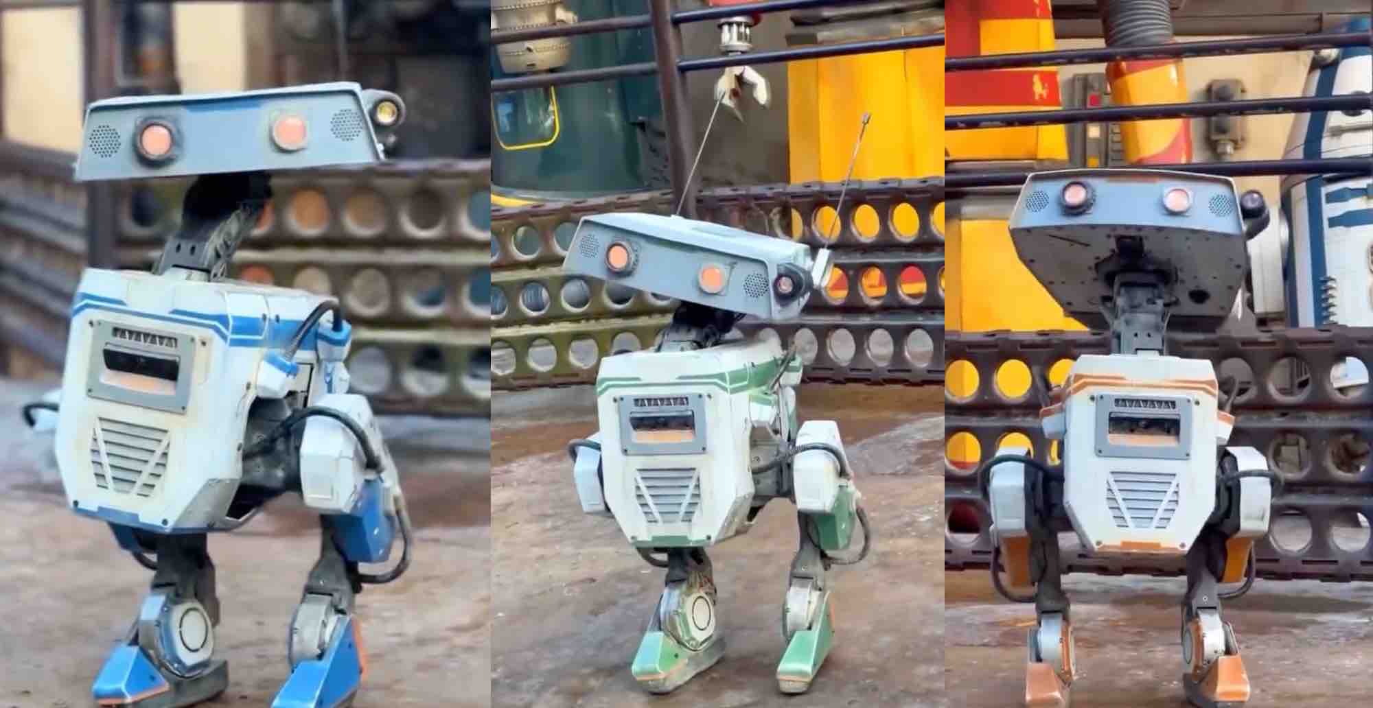 disney star wars droids robots disneyland galaxy's edge