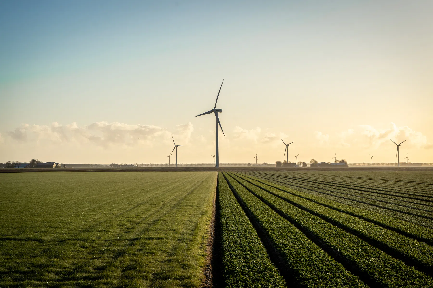 Meer windparken dan ooit, maar de green energy-deal is niet voltooid