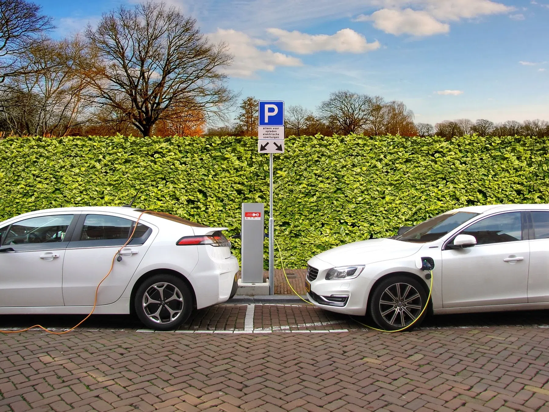 Elektrische auto's zijn nog te duur: 'Europese merken vertragen de overgang'