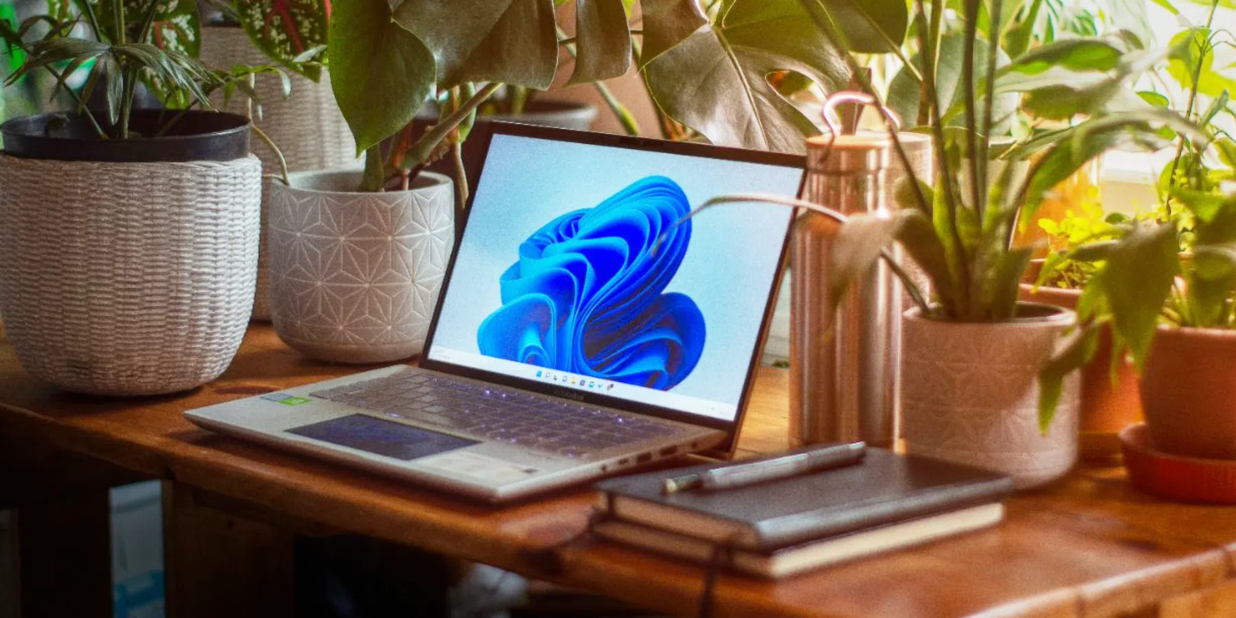 Deze functie van Windows 11 sneuvelt en maakt plaats voor Copilot