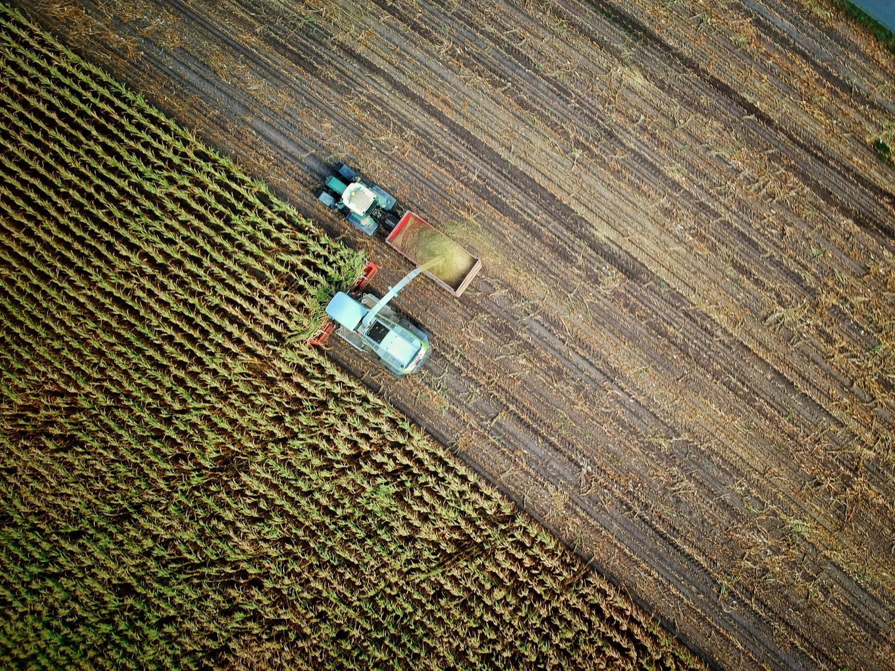 Zonnestorm heeft flinke invloed op boeren en de oogst