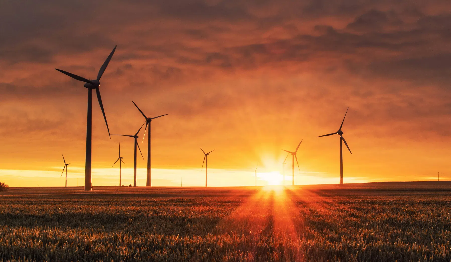 Voor het eerst meer stroom uit wind en zon dan fossiele brandstoffen in Europa